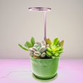 thumbnail image 1 of Single Head Grow Lights for Indoor Plants Full Spectrum with Timer, Height Adjustable LED Plant Grow Light, USB Small Ring Growing Lamp for Seedlings Succulents, 1 of 7