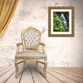 thumbnail image 3 of Terrill, Steve 26x32 Gold Ornate Wood Framed with Double Matting Museum Art Print Titled - OR, Columbia Gorge, Fairy Falls cascading, 3 of 4