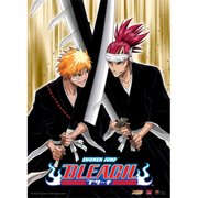 Bleach WallScroll