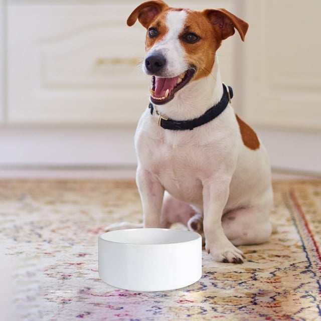 Hearth & Gear Ceramic Pet Bowls For Cats & Dogs – Custom Photo And Text Design Shallow Cat Dish Small Slow Feeder Cat Bowl Insert Silicone Dog Bowl Dog Bowls for Medium Dogs Dog Slow Feeder Insert Dog
