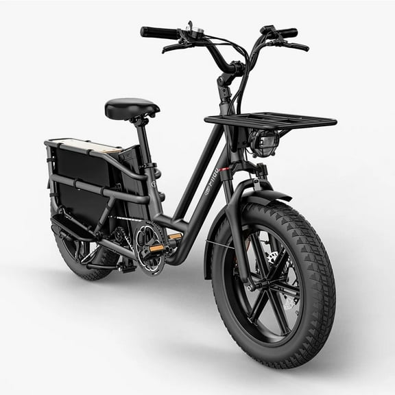 Fiido T2 Black Cargo Electric Bike Class 3 Long Tail Ebike 750W 20Ah Removable Battery E-Bike