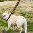 thumbnail image 2 of Correas De Cadena Para Perros Grandes Correas Para Mascotas, 2 of 6