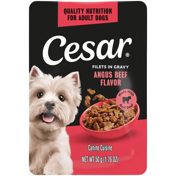 Cesar Filets in Gravy Angus Beef Flavor Wet Dog Food, 1.76-oz Mini-Pouch