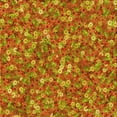 thumbnail image 1 of Ahgly Company Indoor Square Patterned Lava Red Area Rugs, 7' Square, 1 of 6