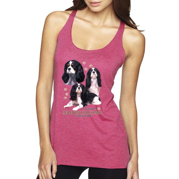 If It's Not a Cavalier King Charles Spaniel It's Just a Dog Gift | Womens Dog Lover Premium Tri-Blend Racerback Tank Top, Vintage Pink, Medium
