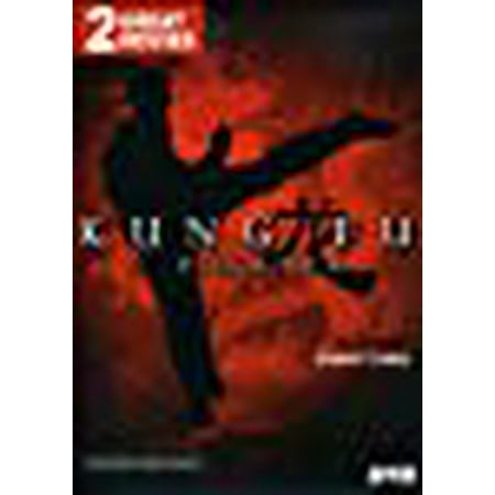 Kung Fu Fighter (The Best Kung Fu Fighter)