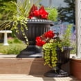 thumbnail image 4 of Bloem 18-in Grecian Urn Resin Planter - Black, 4 of 6