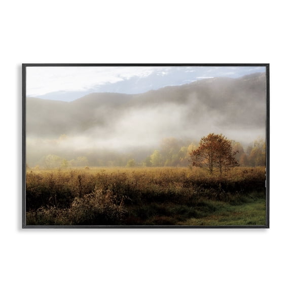 Stupell Industries Lifting Fog over Nature Black Framed Giclee Art design by D. Burt, 12 x 18