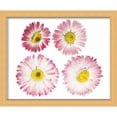 thumbnail image 6 of 24x20 Gold Shadowbox Frame - Interior Size 24x20 by 1 Inch - Made to Display Items Up To 1 Inch Deep, 6 of 8