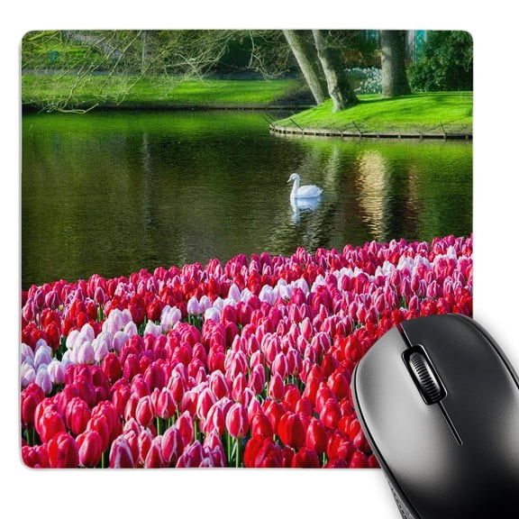 3dRose, Netherlands, Lisse, Swan Swimmings on a lake, MousePad