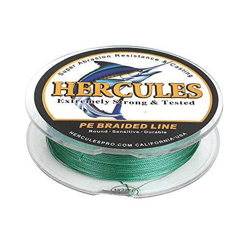 HERCULES Super Strong 1000M 1094 Yards Braided Fishing Line 6 LB Test for  Saltwater Freshwater PE Braid Fish Lines 4 Strands - Green, 6LB (2.7KG),  0.08MM 