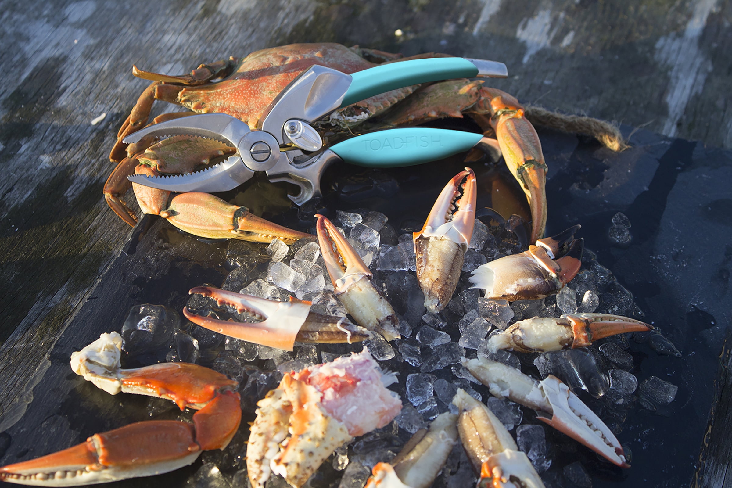 Toad Fish Crab Cutter