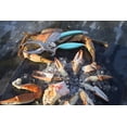 thumbnail image 5 of Toad Fish Crab Cutter, 5 of 6
