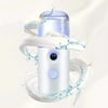 Nano Mist Sprayer Portable Mini Humidifiers Facial Mist Sprayer Face Steamer for Home Work Travel Birthday Valentine Gifts