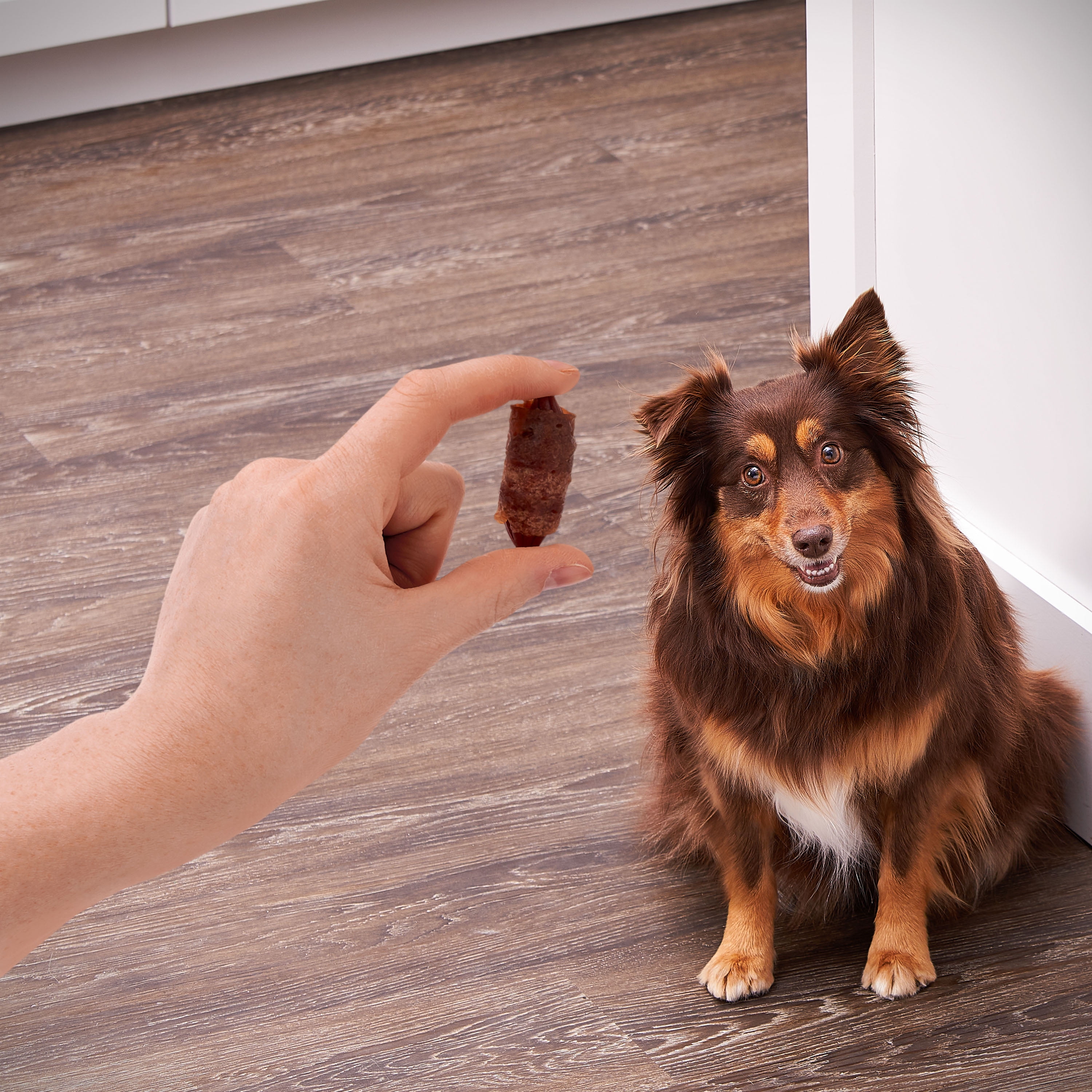 Golden Rewards Air Dried Jerky Treats Pigs in a Blanket for Dogs