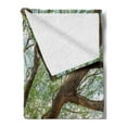 thumbnail image 2 of Nature Soft Flannel Fleece Blanket, Magnificent Rain Tree in Thailand with Long Branches Rural Scenery Growth Picture, Cozy Plush for Indoor and Outdoor Use, 70" x 90", Brown Green, by Ambesonne, 2 of 5
