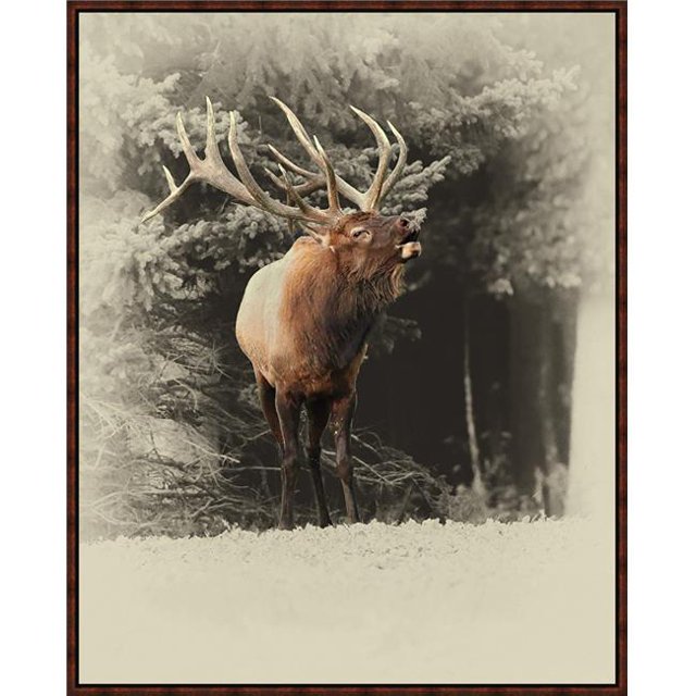 Somerset House Publishing 7350 41.5 x 33.5 Po. Bugling Élan, Toile Encadrée Giclée - Marron