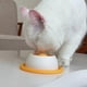 thumbnail image 3 of Dog Licking Toy - Slow Feeder Treat Dispenser for Puppy Training, Enrichment with Food Dispenser, Food Crate Accessory, 3 of 5
