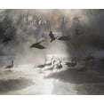 thumbnail image 2 of SMO 23x20 Black Ornate Wood Framed with Double Matting Museum Art Print Titled - Geese in the mist in Colorados Rocky Mountains, 2 of 4