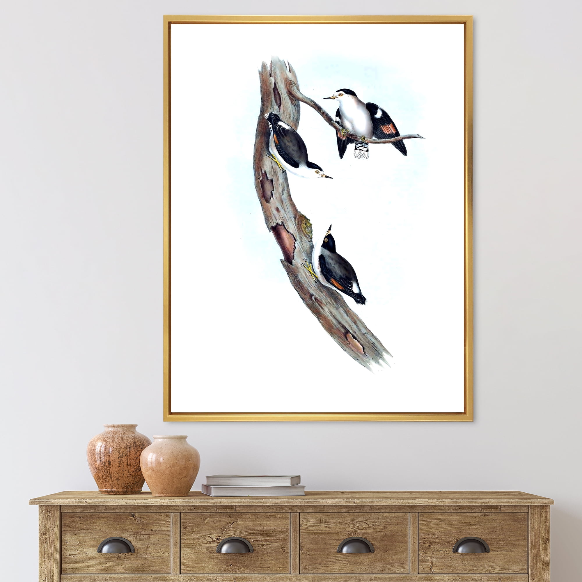 Ancient Australian Bird Illustrations I 16 in x 32 in Framed Painting Canvas Art Print, by Designart