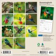 thumbnail image 2 of Hummingbirds 2027 7x14" (Hanging) Mini Wall Calendar | Foil Stamped Cover | Plato, 2 of 9