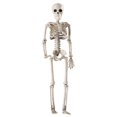 thumbnail image 1 of 36cm Lifelike Human Bones Halloween Skull Skeleton Decoration Anatomical Anatomy Model Scary Props, 1 of 5