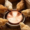 thumbnail image 4 of CaiYueKe Pure Copper Bird Bath Purification Disk, Reinforced Copper Purification Cleaner with Four-Point Support,All-Season Safe Clean Water,Universal Fit for Outdoor Birdbath&Bowl, 4 of 8