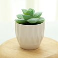 thumbnail image 2 of Coofit Mini Potted Succulent Lifelike - Artificial Plant Faux Succulent in Pot for Home, 2 of 4