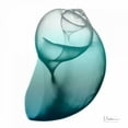 thumbnail image 2 of Koetsier, Albert 26x26 White Modern Wood Framed Museum Art Print Titled - Water Snail 3, 2 of 4