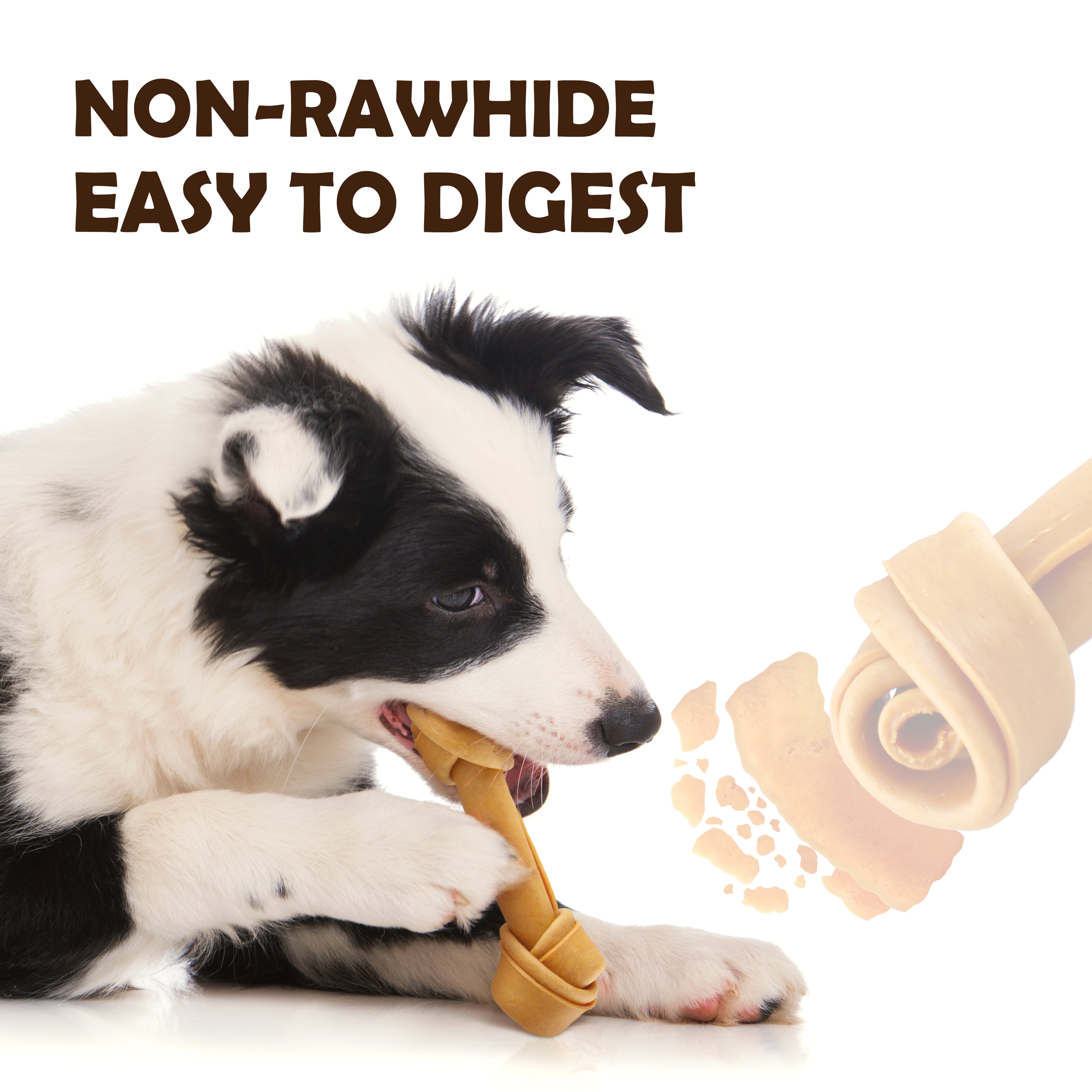 Is Rawhide Really Bad For The Border Collie