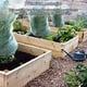 thumbnail image 3 of Wosthever Bolsa de red Protector de plantas herramienta de jardinería uvas vegetales accesorios de jardín bolsa de protección cubierta de Type3 NO3, 3 of 6