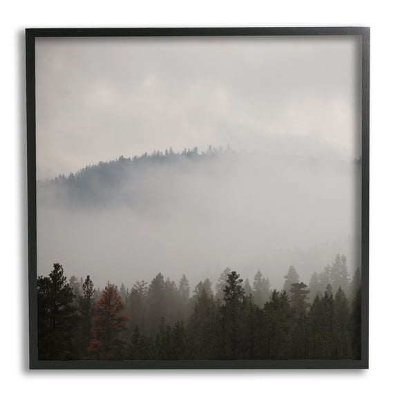 Stupell Industries Misty Mountain Weather Obscured Forest Tree Tops Photograph Black Framed Art Print Wall Art, Design by Carol Robinson