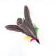 thumbnail image 3 of Juguete de varita de plumas para gatos, caña de pescar retráctil interactiva para gatos, divertido palo para gatos, caña de mar, juguete para jugar con plumas de gato, juguetes de compañía para mascotas, 12 piezas JM, 3 of 5