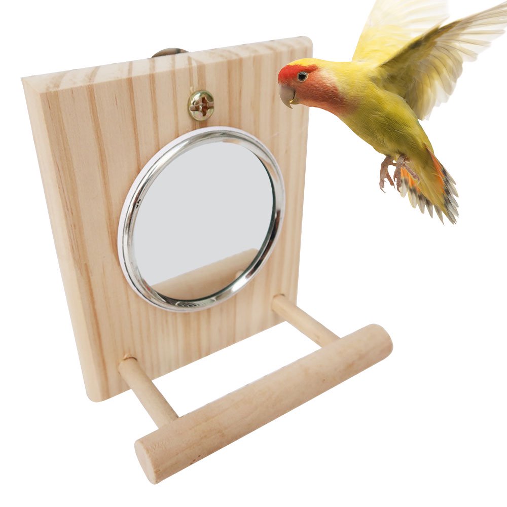 Funny Wooden Perch Platform with Mirror Bird Rack for Parrots Parakeet
