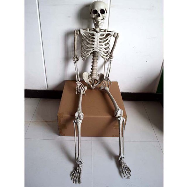 Esqueleto móvil de Halloween de 40-170Cm, accesorio humano de tamaño completo, calavera, mano, vida, cuerpo, modelo de anatomía, decoración de fiesta de Halloween para el hogar Gao Jinjia LED