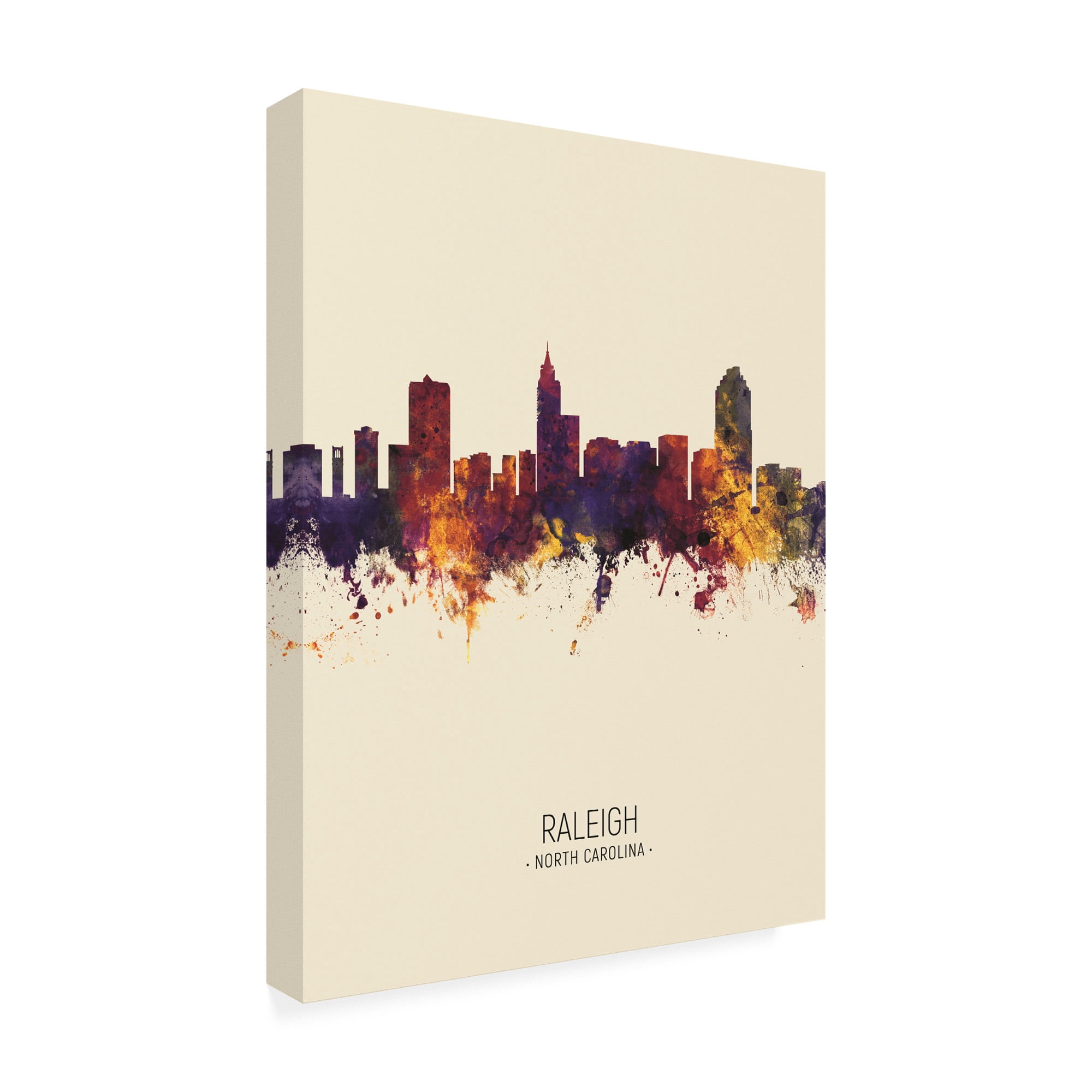 Trademark Fine Art 'Raleigh North Carolina Skyline Portrait III' Canvas Art by Michael Tompsett