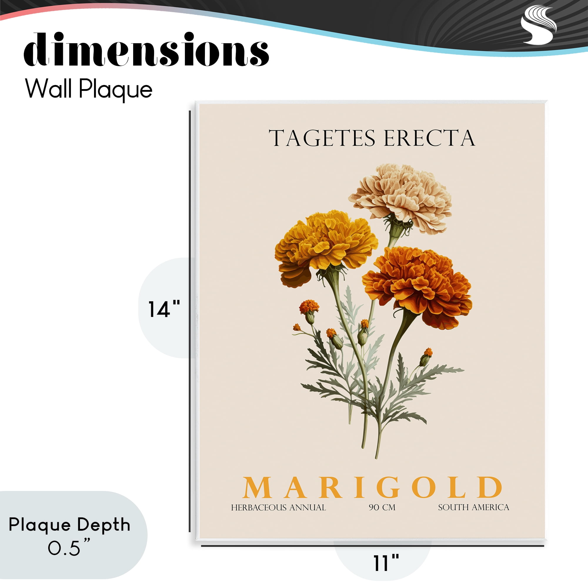 Stupell Industries Natural Marigold Bundle Wall Plaque Art, design by Christopher Giampietro