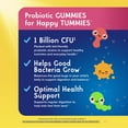 thumbnail image 6 of Renew Life Kids Tummy Gummy with Prebiotics and Probiotics ,Unisex, Raspberry, 30 Count, 6 of 11