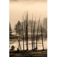 thumbnail image 2 of Jones, Adam 11x14 Black Ornate Wood Framed with Double Matting Museum Art Print Titled - Dead trees near geothermal feature-Yellowstone National Park-Wyoming, 2 of 4