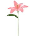 thumbnail image 1 of 1-Pack Flores de Ganchillo, Lirio de Lana Artificial Tejido a Mano, Flores Tejidas [Rosa Melón], 1 of 6