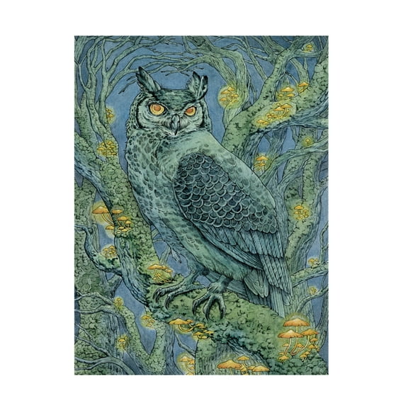 Trademark Fine Art Lea Chaillaud Forest Lights Canvas Wall Art