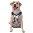 thumbnail image 1 of Kdxio Parisian Cafe With Eiffel Print No Pull Dog Harness Adjustable Reflective Oxford Easy Control Medium Large Dog Harness for Training and Everyday-Small, 1 of 6