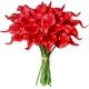 thumbnail image 1 of 20 piezas de flores blancas puras, flores artificiales de seda de lirio de Cala, 13,4 pulgadas para el hogar, cocina y boda Sailing  Electrónica, 1 of 5