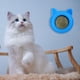 thumbnail image 5 of Bola de hierba gatera giratoria, bolas de hierba gatera seguras naturales, suministros de salud para mascotas de juguete (azul) Ehuebsd Para estrenar, 5 of 6