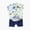 Z06 Green, variant on HCNTES Baby Boy Clothes Outfits Tops Pants Dinosaur T-shirt Toddler Cartoon Set Kids Baby Clothes