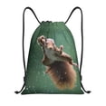 thumbnail image 1 of Xecao Squirrel Pattern Sports Drawstring Backpack - String Swim Gym Bag with Wet Proof Pocket for Women&Men-Medium, 1 of 6