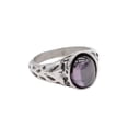 thumbnail image 4 of PAMTIER Men's Stainless Steel Personality Vintage Punk Oval Cut Purple Gemstone Biker Ring Cool Honeycomb Pattern Carved Wedding Band Silver Size 7, 4 of 6