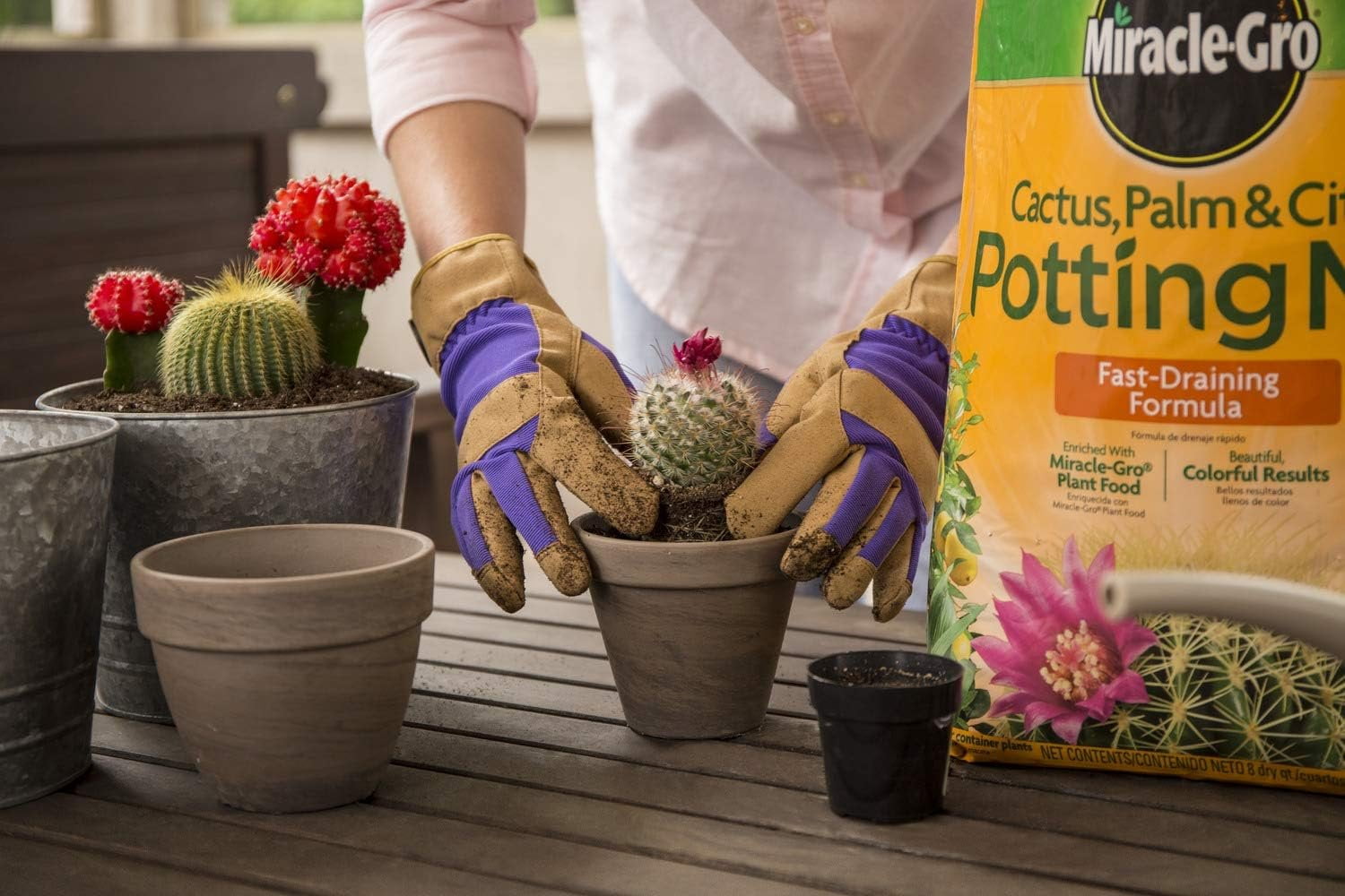 Miracle-Gro Cactus, Palm & Citrus Potting Mix, 8 qt. 3-Pack — Residential Use, Standard Application
