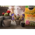 thumbnail image 6 of Miracle-Gro Cactus, Palm & Citrus Potting Mix, 8 qt. 3-Pack — Residential Use, Standard Application, 6 of 7