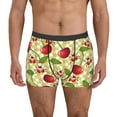 thumbnail image 1 of Balery Cherries and Ladybirds Calzoncillos bóxer para hombre, ropa interior de algodón suave y transpirable con cinturilla de nailon-Small, 1 of 5